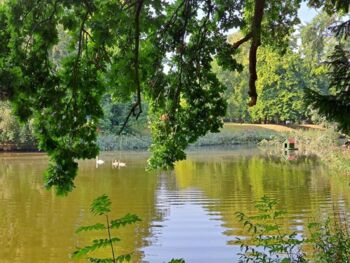 Schlossteich (2)