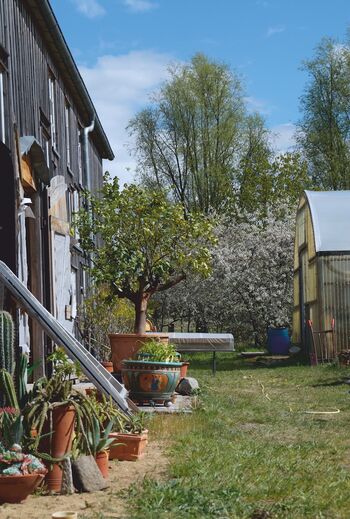 Garten Karnitz Kopie