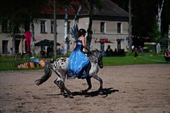 4265258B-ED09-41A4-9596-0616C4A4395E