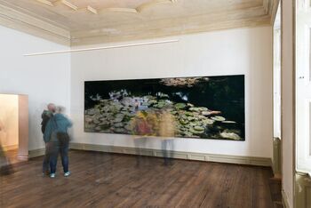 Wesely Seerosen Schloss Kummerow©Michael Wesely 2016 Kopie