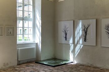 Lichtundschatten-kummerow