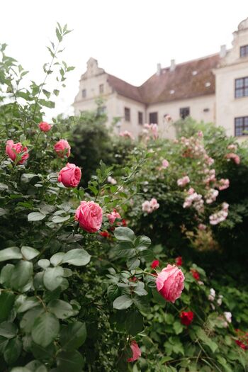 Schloss-schmarsow-rosen