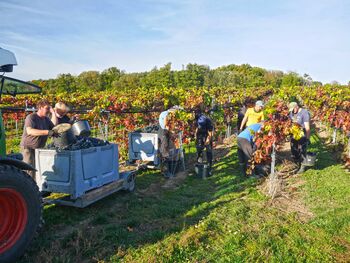 K Leseabschluss 2022