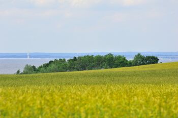 Landschaft Ostsee Kopie