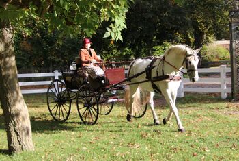 Fahren im Park@Jens Buhrmann