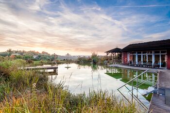 Michael Weise 102018 (1)