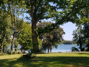 Penzlin am see