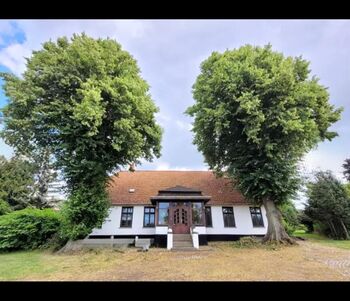 WhatsApp Image 2026-02-10 at 09.24.54