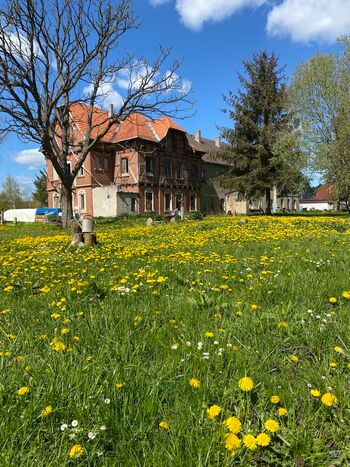 Park-gutshaus-rakow