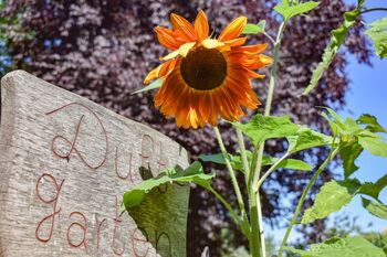 Duftgarten gutshaus-stellshagen-1024x683