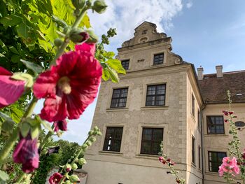 Malven Schloss Schmarsow Pocha Burwitz-1024x768