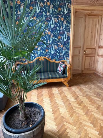 Holz gueltz