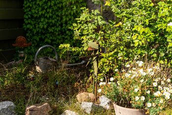 Hotel Gutshaus Zietlitz 