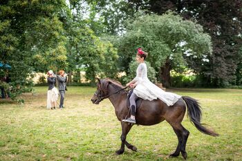Ponies imPark Vogelsang Kopie
