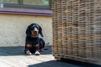 Web Gutshaus Polchow 2020 @ DOMUSimagess 12