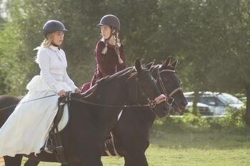 Pferde-schloss-neuhoff