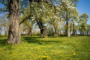 Garten-gutshaus-lexow