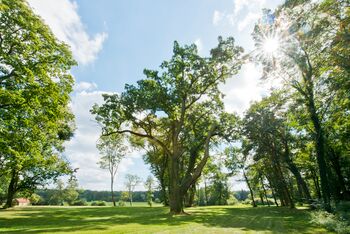 Park SchlossRetzow Kopie