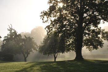Herbst Park gremmelin