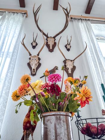 Schloss Kaeelow innen2