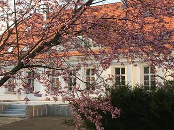 Rosengarten ruegen